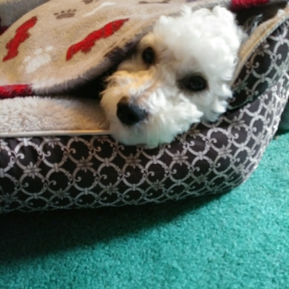 Like this! Live jewelry show notification! - Picture 11 of 12